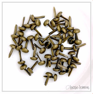 Mini Brads X 50 | Fine Brass