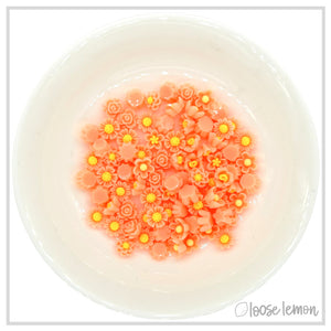 Mini Resin Flowers | Peach