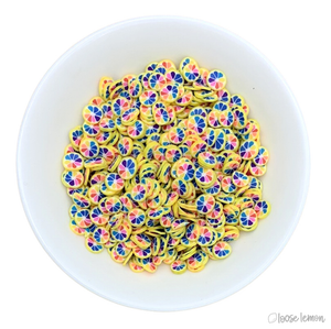 Clay Sprinkles | Rainbow Citrus