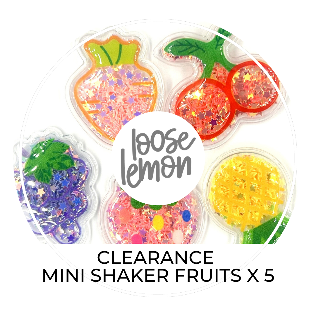 CLEARANCE Shaker Pouches | Fruit x 5