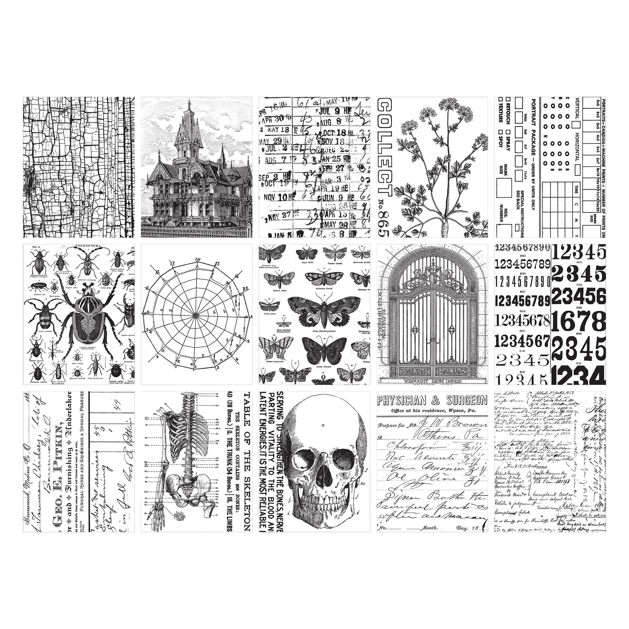 Tim Holtz Idea-Ology Halloween Collage Paper | TH94393 (2025)