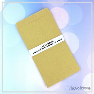 Brown Envelopes X 10 | Large