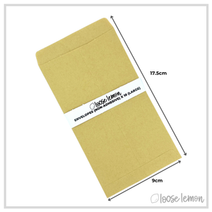 Brown Envelopes X 10 | Large