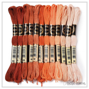 Embroidery Thread Set | 12 Pieces (Orange/Brown)