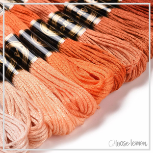 Embroidery Thread Set | 12 Pieces (Orange/Brown)