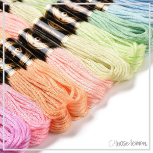 Embroidery Thread Set | 12 Pieces (Warm Neutral Mix)