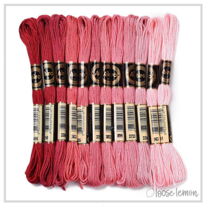 Embroidery Thread Set | 12 Pieces (Pink/Red)