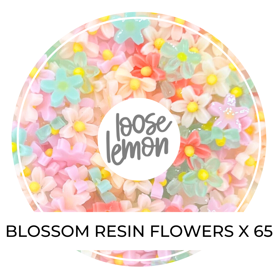 Mini Resin Flowers | Blossom Mix x 65 Pieces