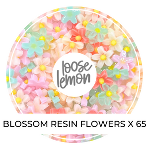 Mini Resin Flowers | Blossom Mix x 65 Pieces