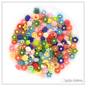 Mini Resin Flowers  | Mixed (2g)
