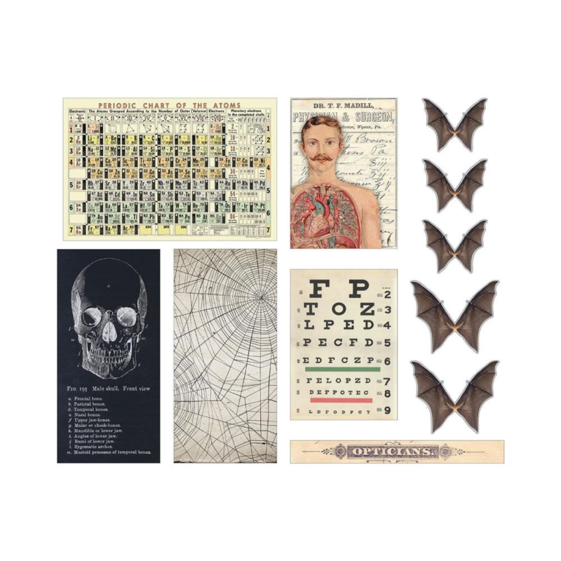 Tim Holtz Idea-Ology Halloween Transparencies (TH94272)