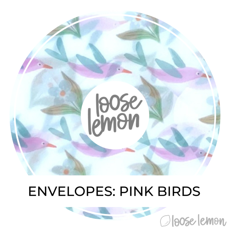 Pink Birds Vellum Envelopes X 3