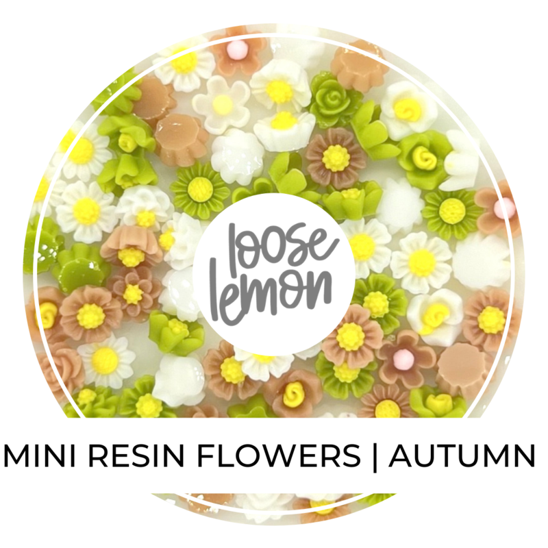 Mini Resin Flowers  | Autumn Mix