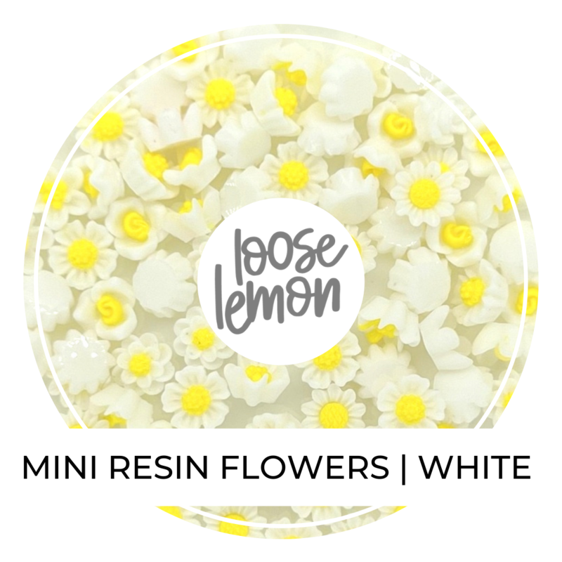 Mini Resin Flowers  | White