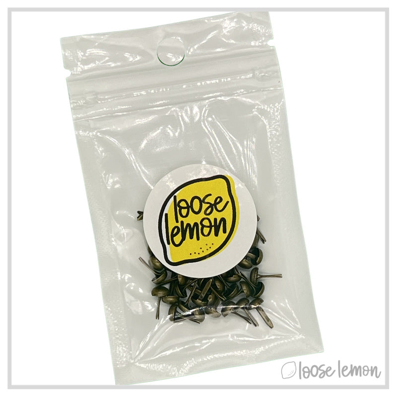 Mini Brads X 50 | Fine Brass