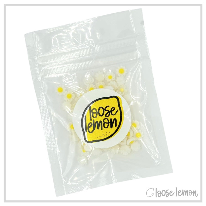 Mini Resin Flowers  | White