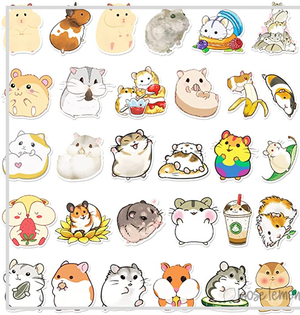 50 Sticker Set | Squirrels