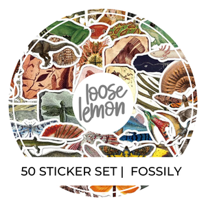 50 Sticker Set | Fossily