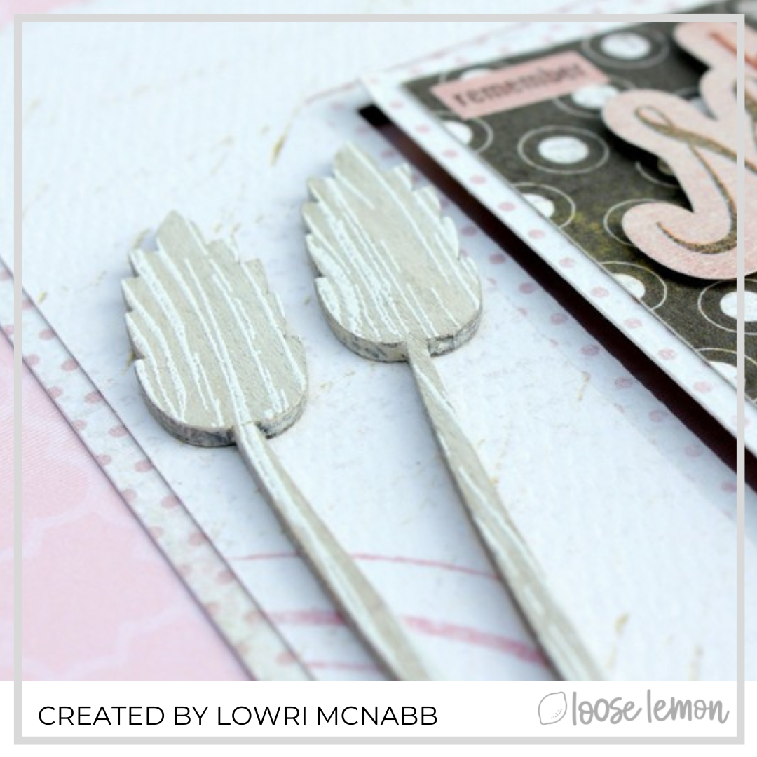 Clearance | Wood Cameras (11 Pieces)