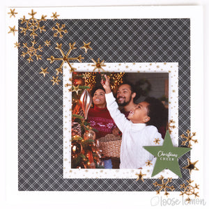 Hearth + Home |  12" X 12" Paper Pack ( 20 Sheets)