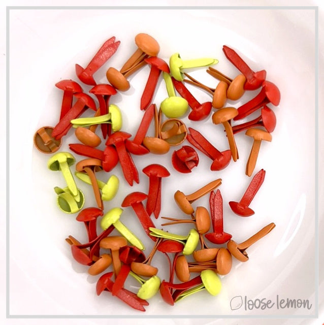 Mini Brads X 50 | Warm Mix